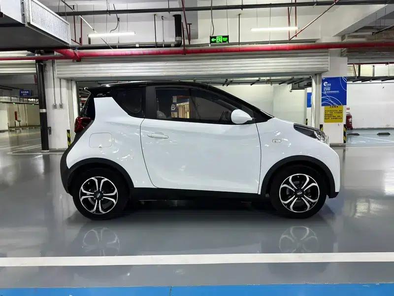 Little Ant 2021 Model, 150,000 Ant Fan Edition, Ant Cool Version, Lithium Iron Phosphate — миниатюра 8