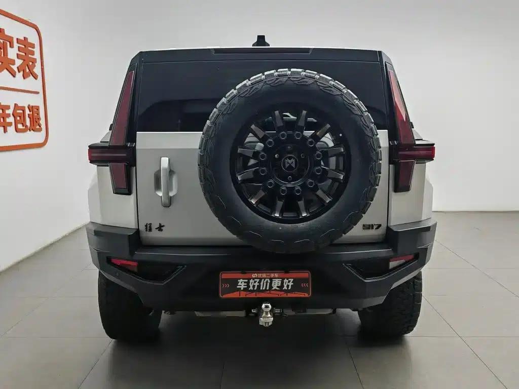 Warrior 917 2023 Range Extended Basic Edition — миниатюра 4