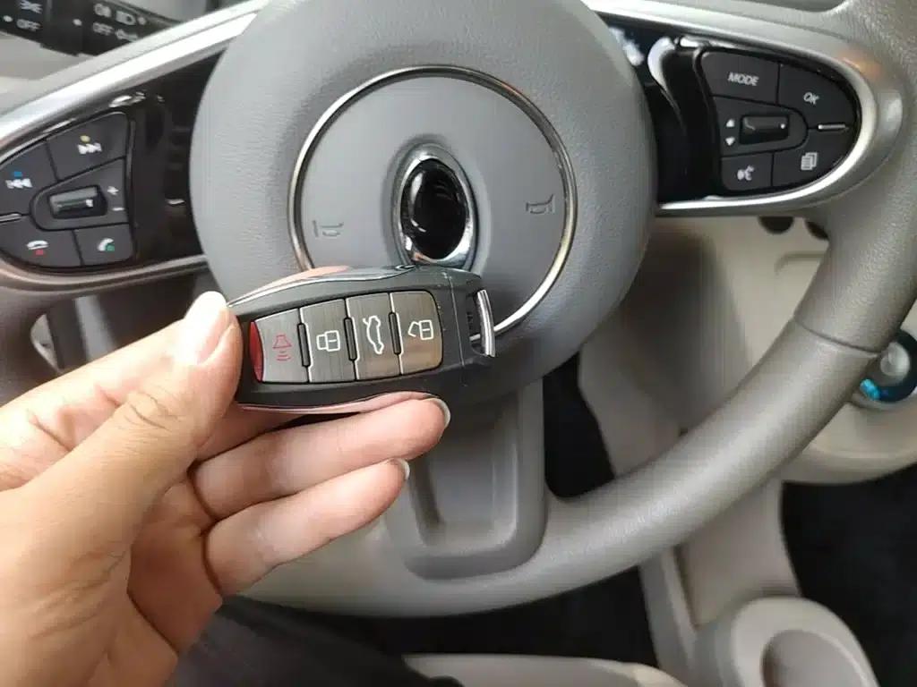 ORA White Cat 2020 Model 360km Standard Edition — миниатюра 9