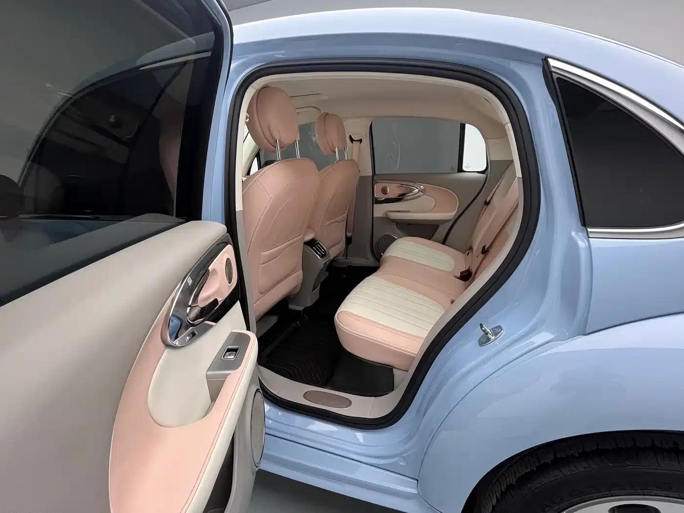 Euler Ballet Cat 2022 Model 401km Alice Edition — миниатюра 14