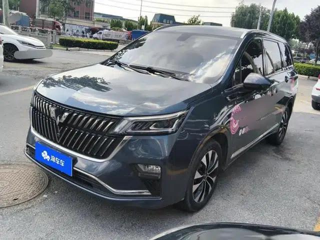 Wuling Jiachen 2023 2.0L DHT Flagship Model