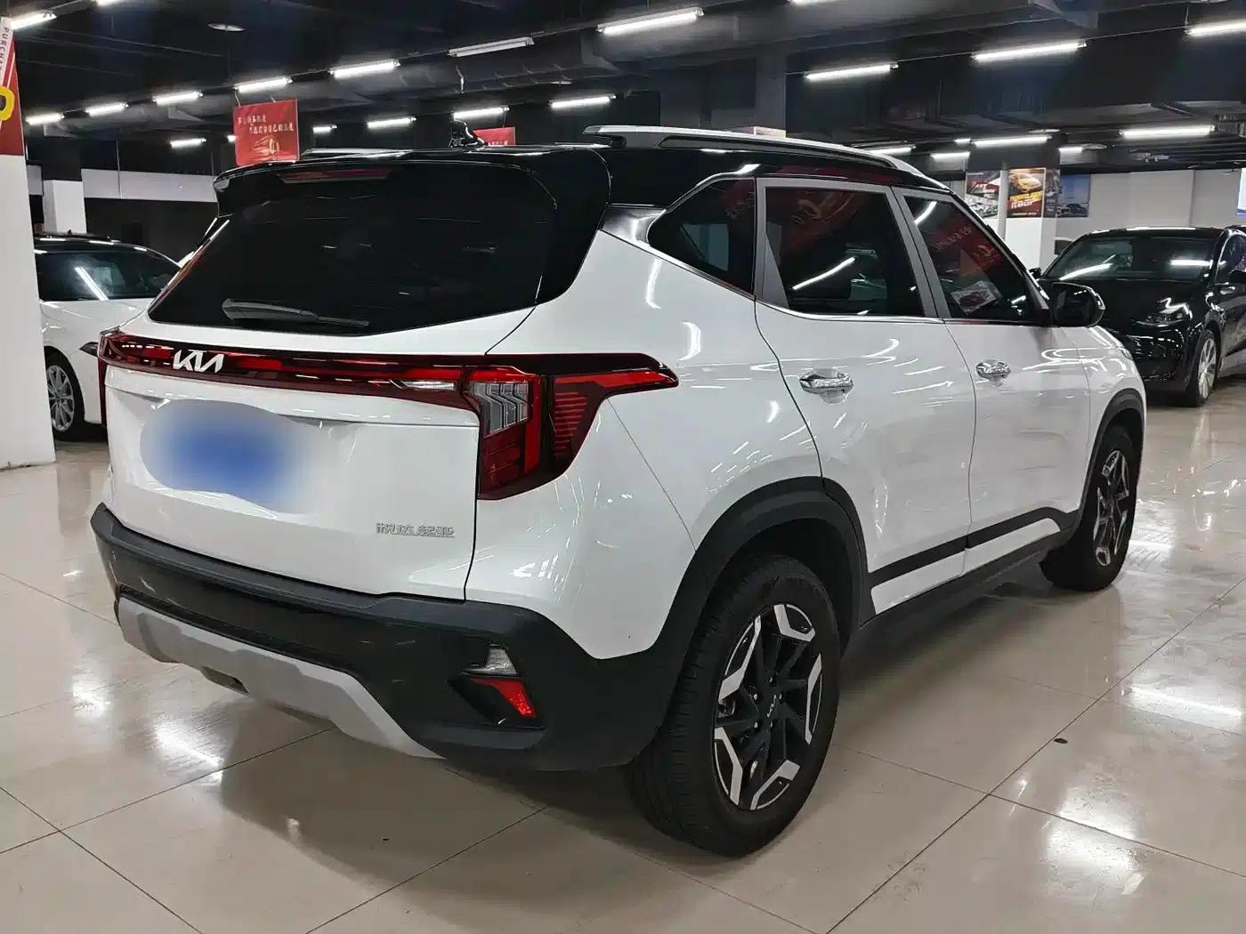 Cytus 2023 1.4T DCT Premium Luxury Edition — миниатюра 11