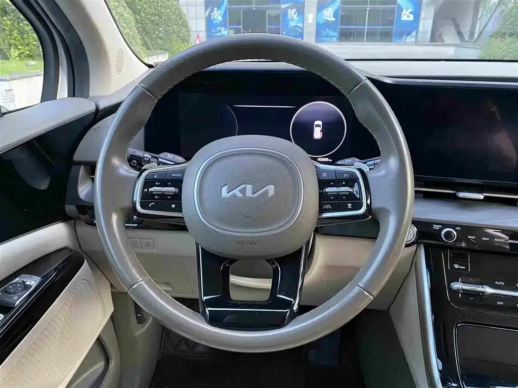 Carnival 2021 2.0T Luxury Technology Edition — миниатюра 13