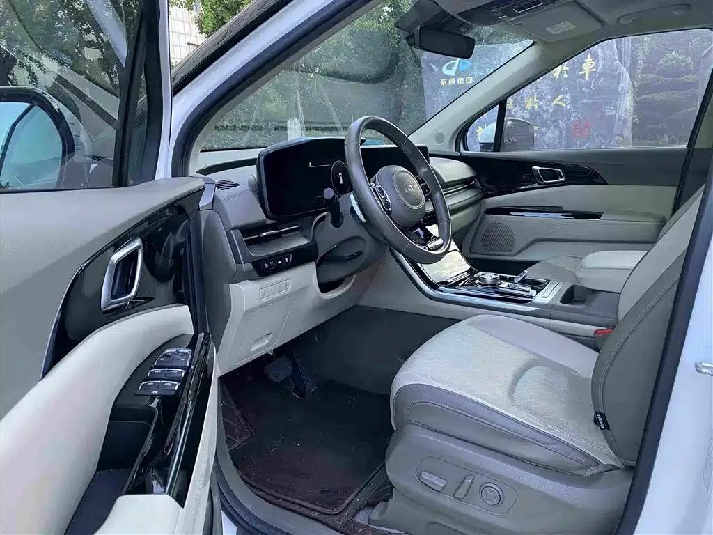 Carnival 2021 2.0T Luxury Technology Edition — миниатюра 4