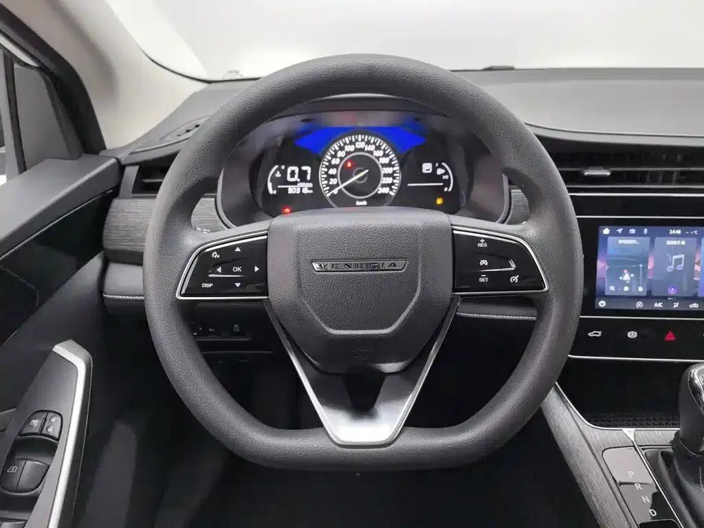 Venucia D60 2023 PLUS 1.6L XL CVT Elite Edition — миниатюра 11