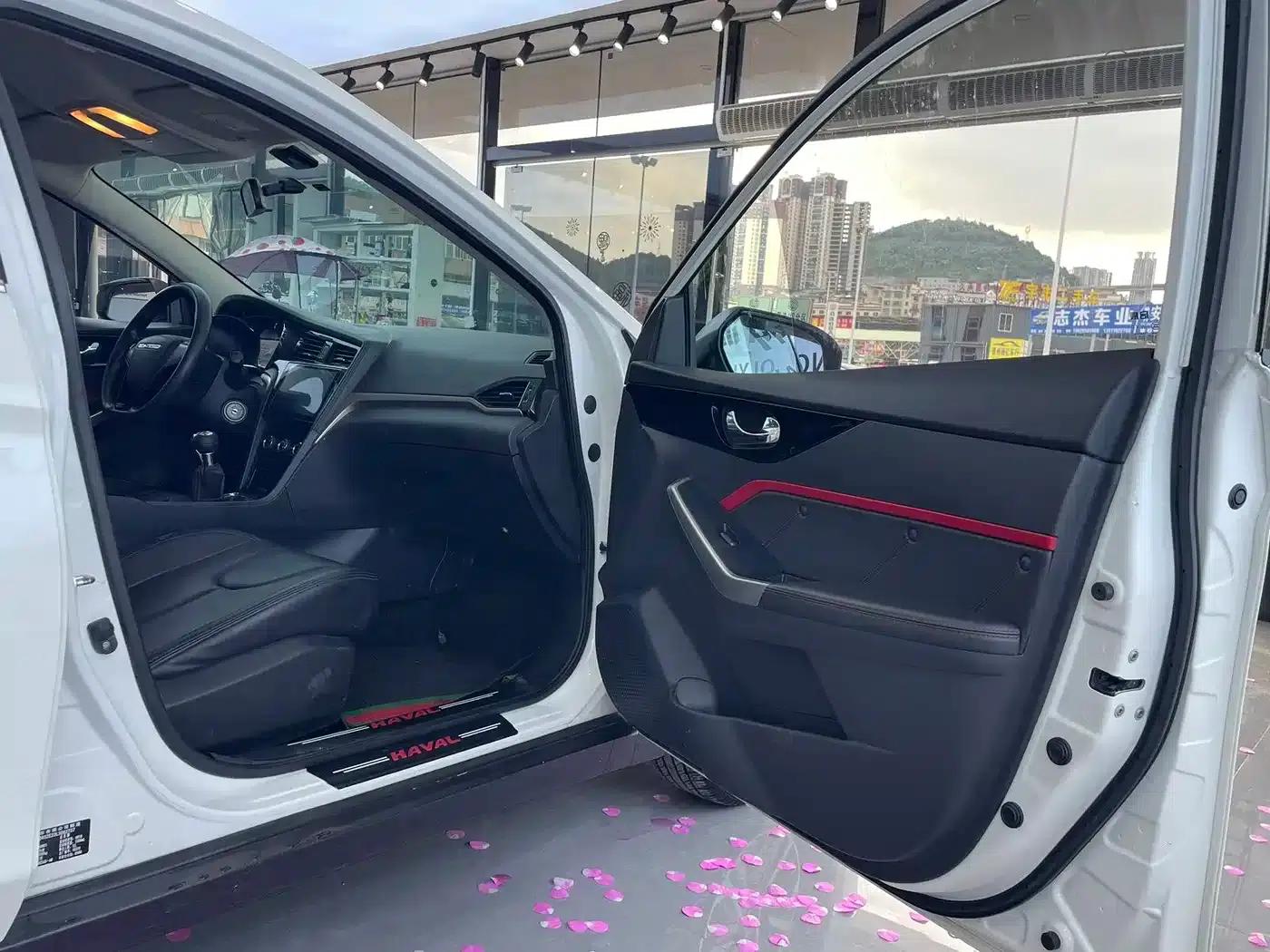 Venucia D60 2020 1.6L Entry Manual Comfort Edition — миниатюра 13