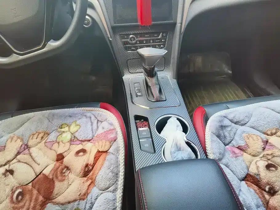 Venucia D60 2019 1.6L XL CVT Intelligent Elite Edition — миниатюра 16
