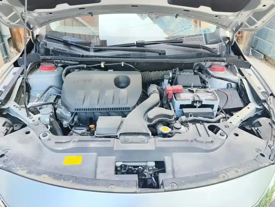 Venucia D60 2019 1.6L XL CVT Intelligent Elite Edition — миниатюра 10