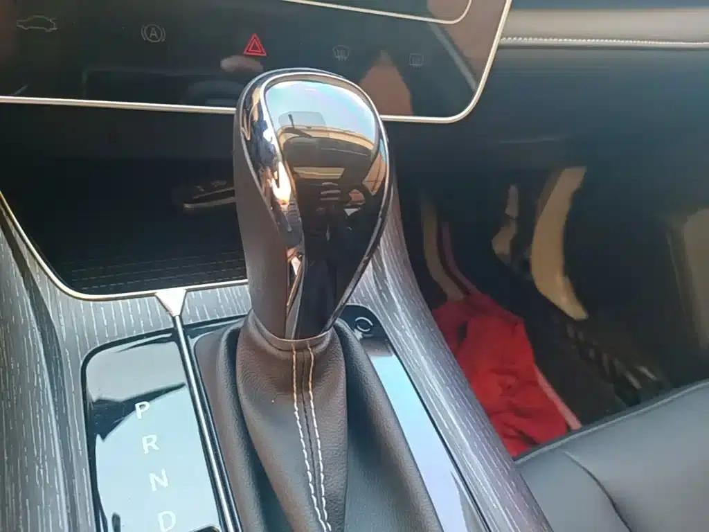 Venucia D60 2021 PLUS 1.6L XL CVT Elite Edition — миниатюра 14