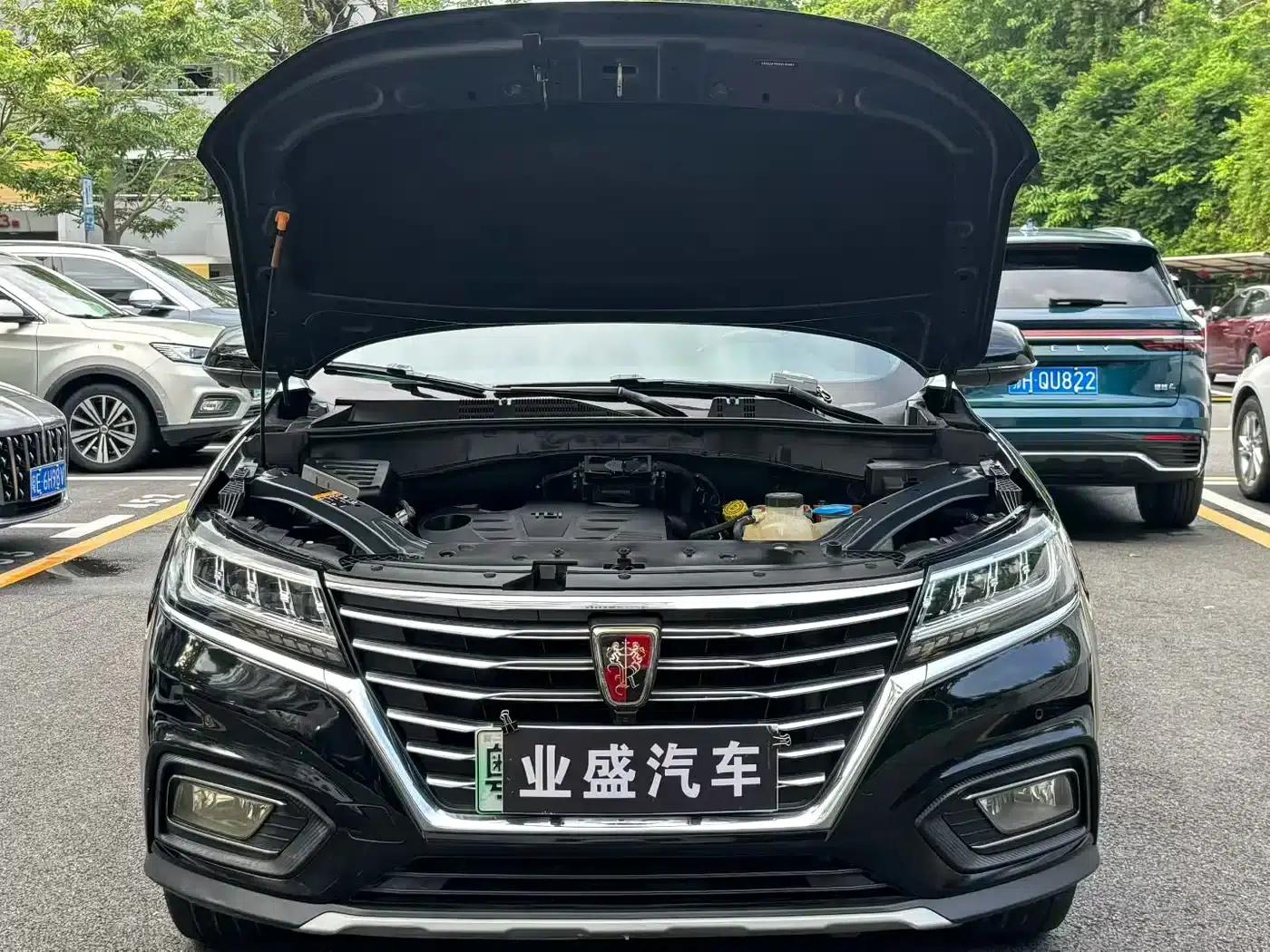 Roewe RX5 New Energy 2017 eRX5 50T Hybrid Connected Premium Flagship Edition — миниатюра 8