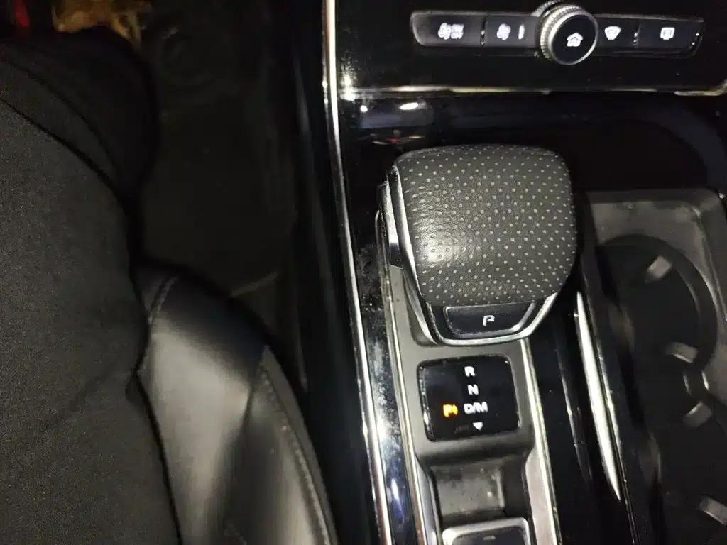 Roewe RX5 MAX 2019 300TGI Automatic 4G Connected Luxury Edition — миниатюра 15