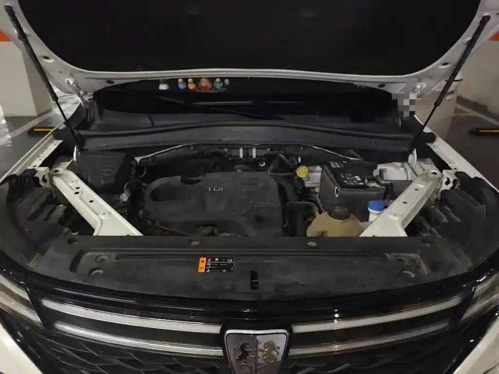 Roewe RX5 MAX 2019 300TGI Automatic 4G Connected Luxury Edition — миниатюра 21