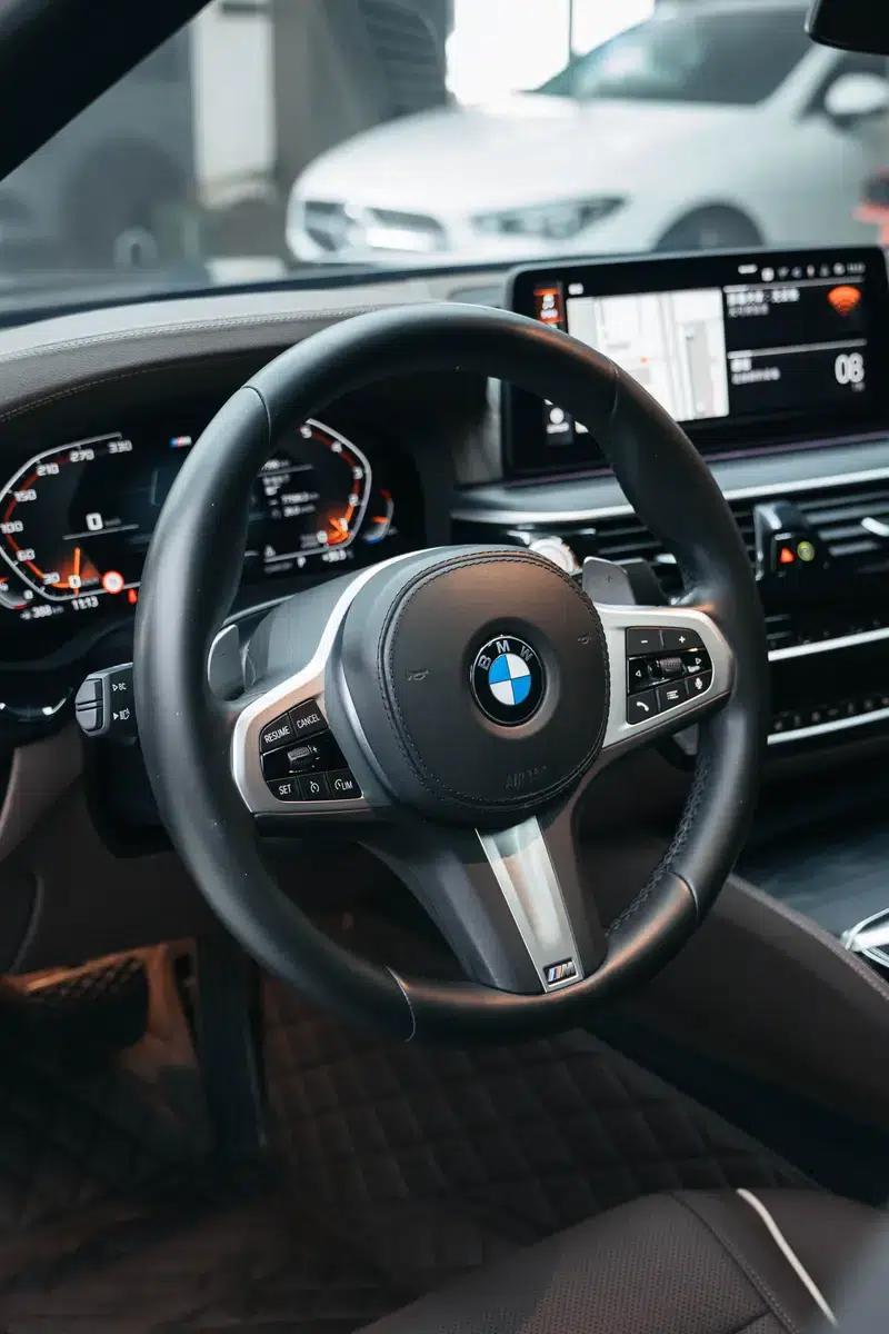 2021 BMW 5 Series Facelift 530Li Leading Edition M Sport Package — миниатюра 19
