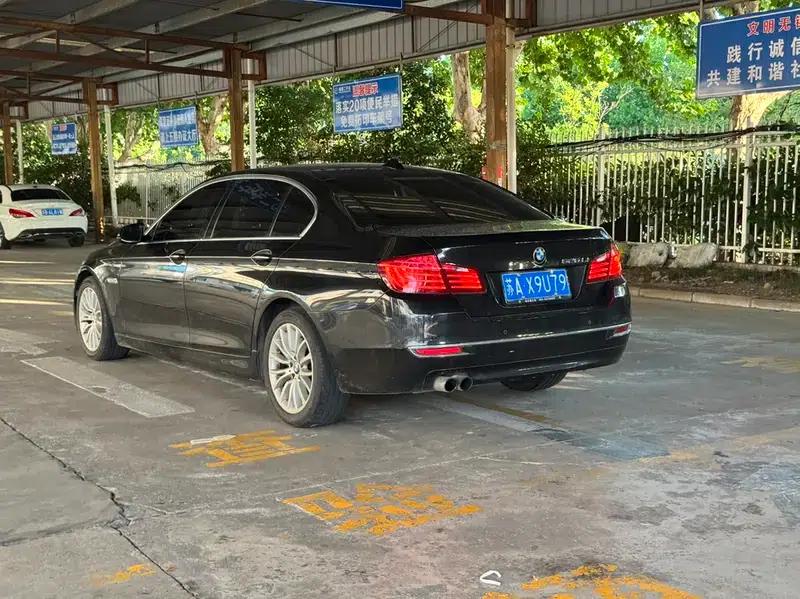 2014 BMW 5 Series 525Li Luxury Design Package — миниатюра 5