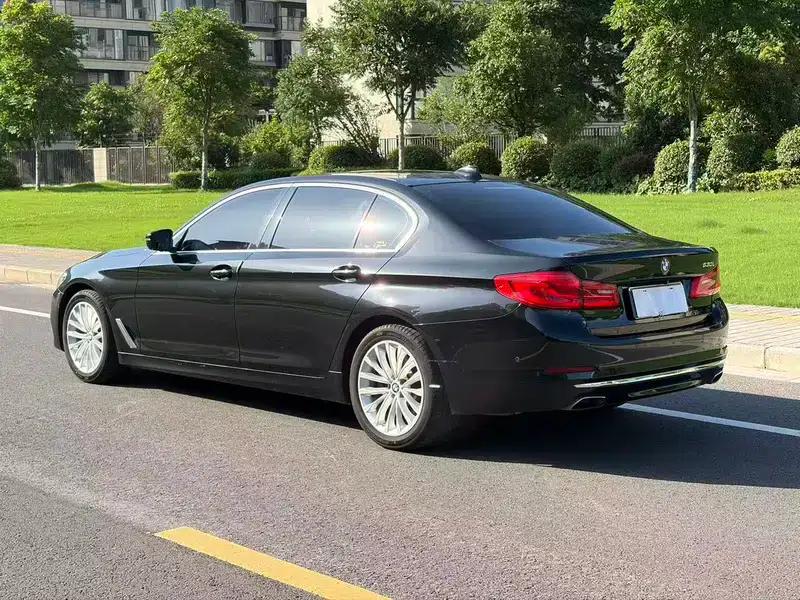 BMW 5 Series 2020 530Li Luxury Package — миниатюра 5