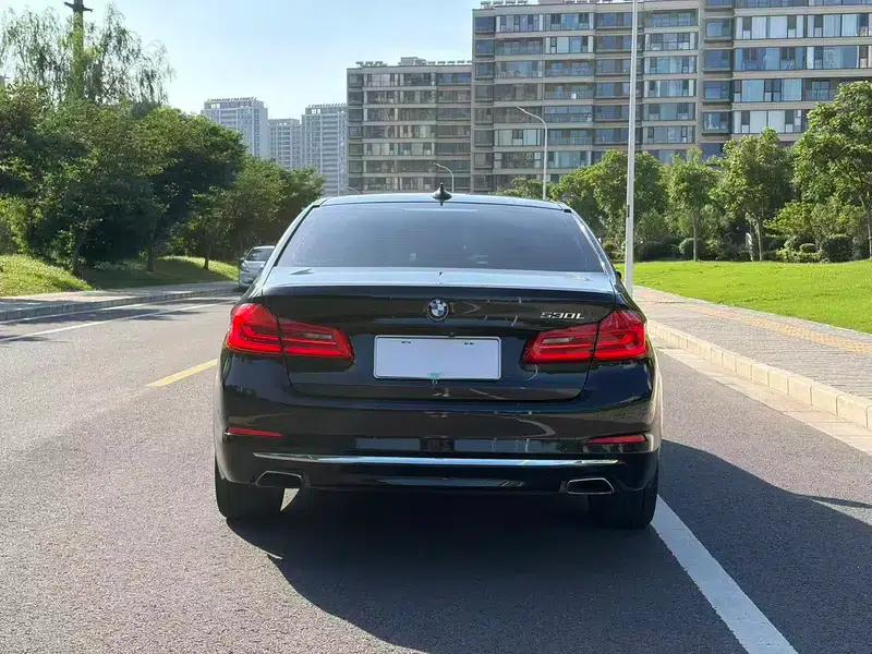BMW 5 Series 2020 530Li Luxury Package — миниатюра 6