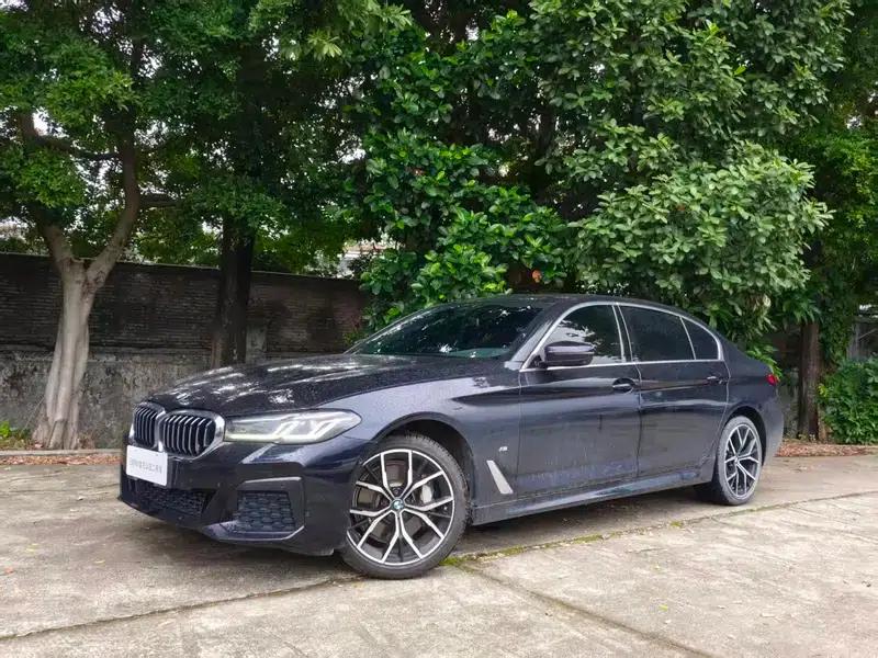 2022 BMW 5 Series, third facelift, 530Li Luxury M Sport Package — миниатюра 1