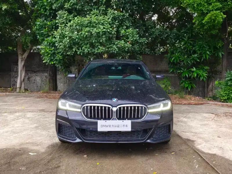 2022 BMW 5 Series, third facelift, 530Li Luxury M Sport Package — миниатюра 2