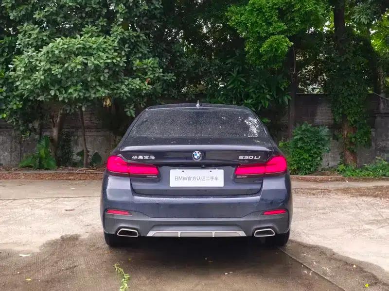 2022 BMW 5 Series, third facelift, 530Li Luxury M Sport Package — миниатюра 4