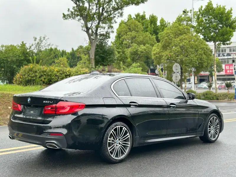 2018 BMW 5 Series 530Li Leading Edition M Sport Package — миниатюра 6