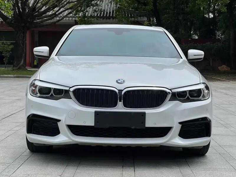 2019 BMW 5 Series Facelift 530Li Leading Edition M Sport Package — миниатюра 2