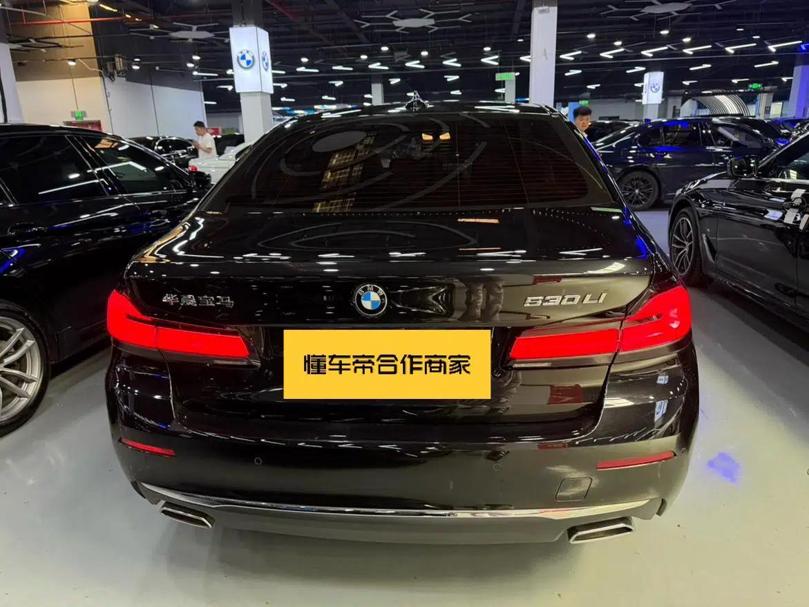 2023 BMW 5 Series 530Li Leading Edition M Sport Package — миниатюра 15
