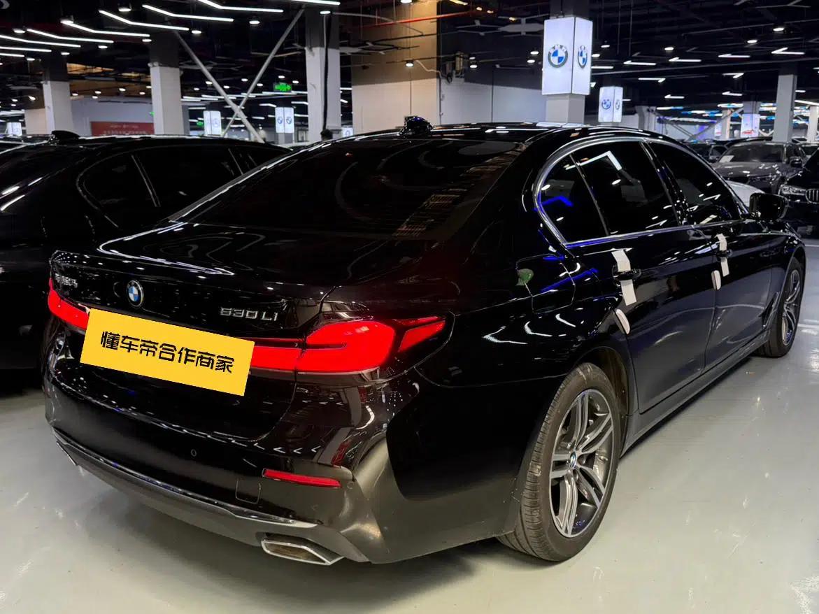 2023 BMW 5 Series 530Li Leading Edition M Sport Package — миниатюра 16