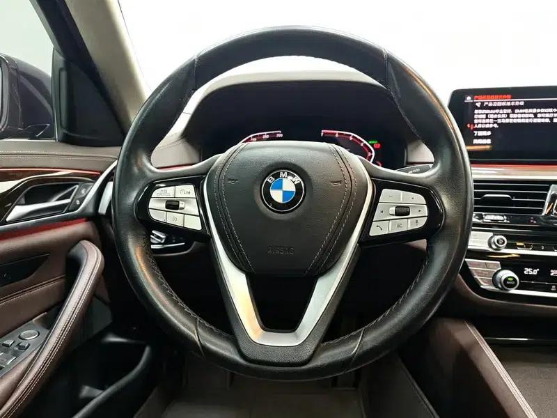 2020 BMW 5 Series 525Li Luxury Package — миниатюра 16