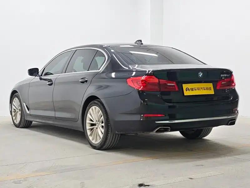 2020 BMW 5 Series 525Li Luxury Package — миниатюра 5