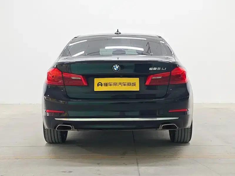 2020 BMW 5 Series 525Li Luxury Package — миниатюра 6