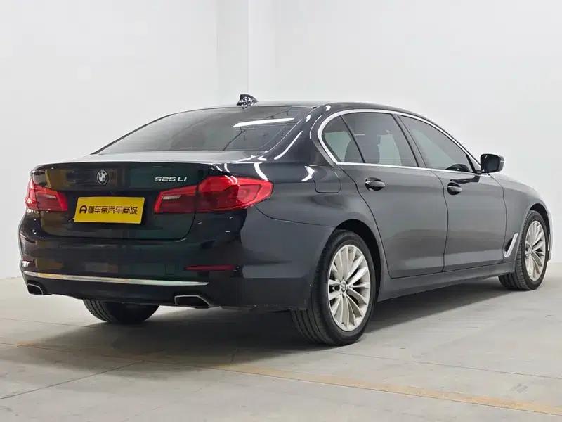 2020 BMW 5 Series 525Li Luxury Package — миниатюра 7