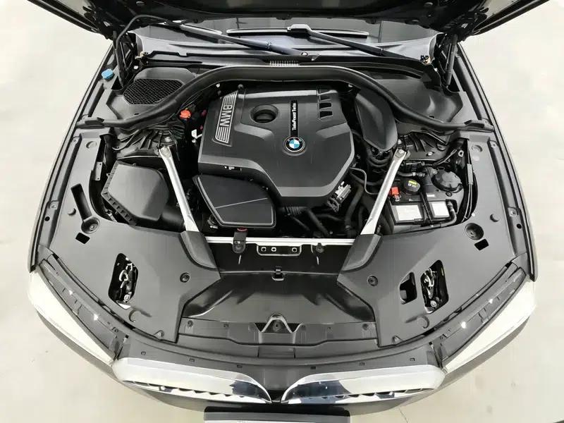 2020 BMW 5 Series 525Li Luxury Package — миниатюра 10