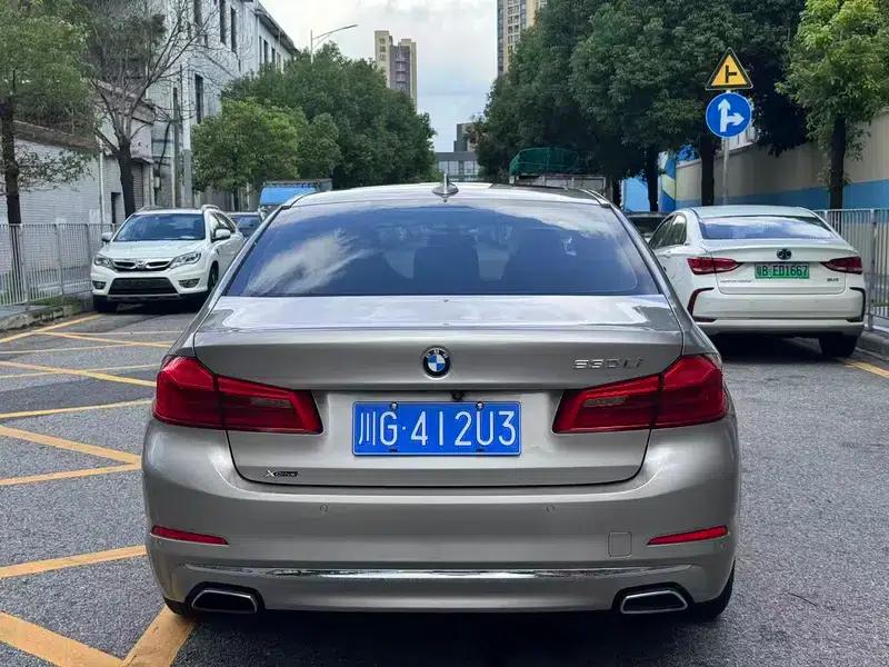 2018 BMW 5 Series 530Li Leading Luxury Package — миниатюра 6