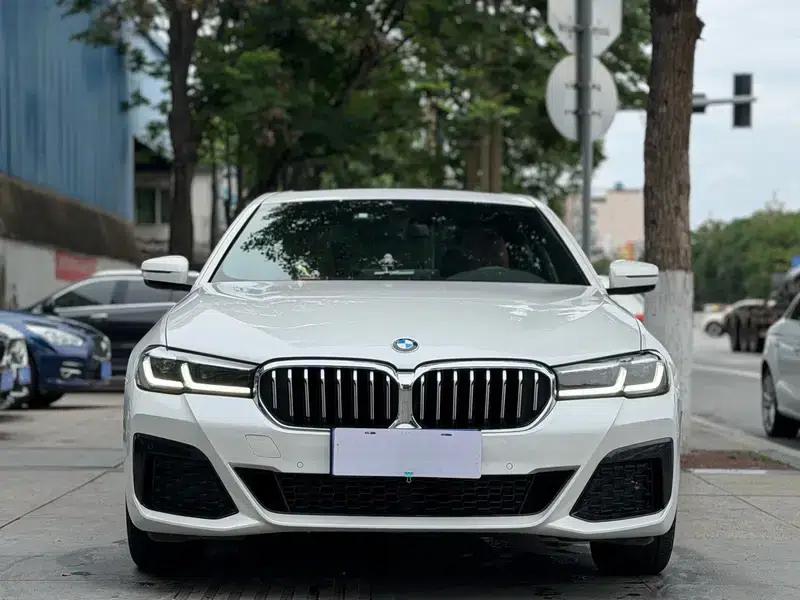 2023 BMW 5 Series 530Li Leading Luxury Package — миниатюра 2