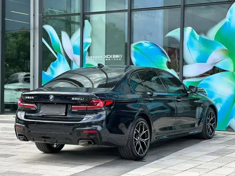 2018 BMW 5 Series 530Li Leading Edition M Sport Package — миниатюра 5