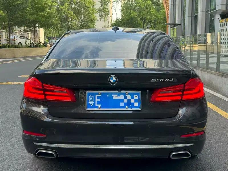 BMW 5 Series 2020 530Li Luxury Package — миниатюра 4