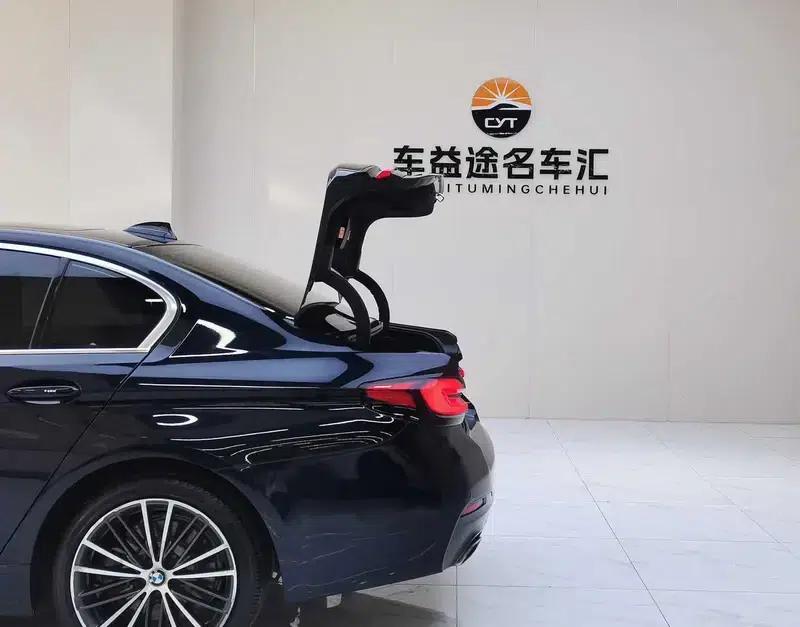 2021 BMW 5 Series Facelift 530Li xDrive M Sport Package — миниатюра 9