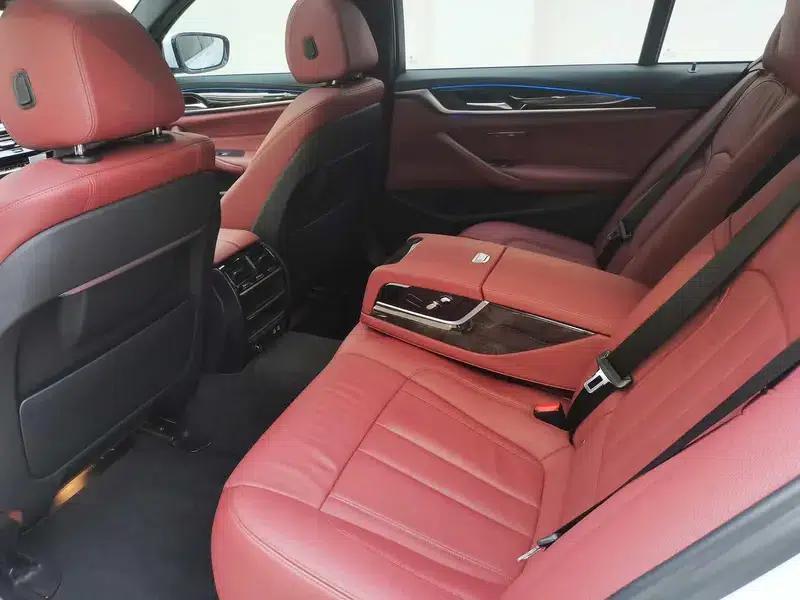 2020 BMW 5 Series 530Li Leading Edition M Sport Package — миниатюра 16