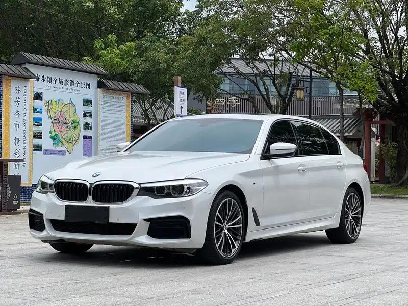 2019 BMW 5 Series 530Li Leading Edition M Sport Package — миниатюра 1