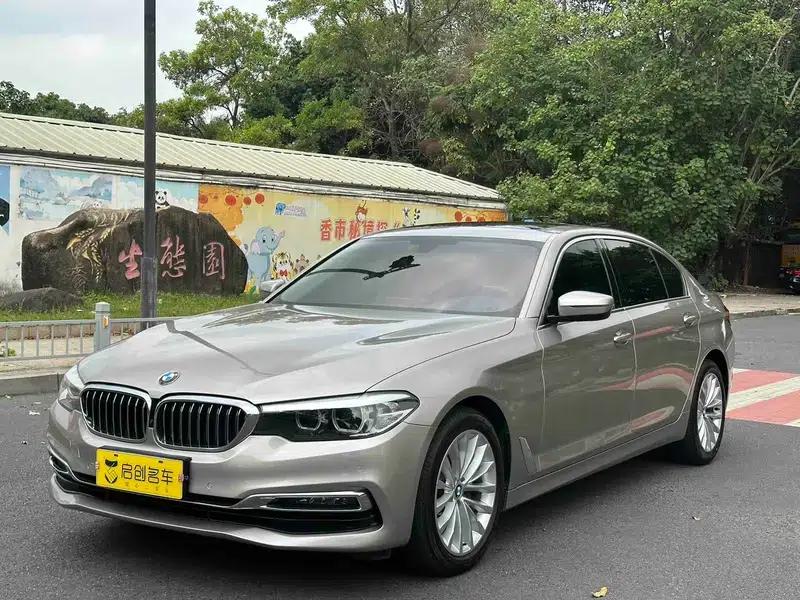 2019 BMW 5 Series 525Li Luxury Package — миниатюра 1