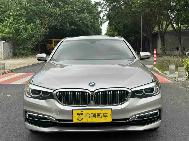 2019 BMW 5 Series 525Li Luxury Package — миниатюра 2