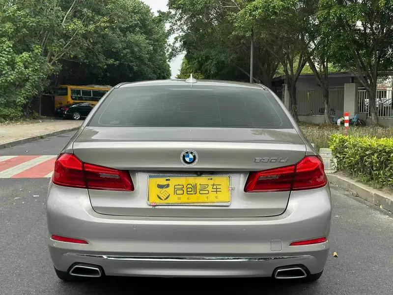 2019 BMW 5 Series 525Li Luxury Package — миниатюра 6