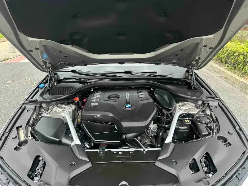 2019 BMW 5 Series 525Li Luxury Package — миниатюра 8