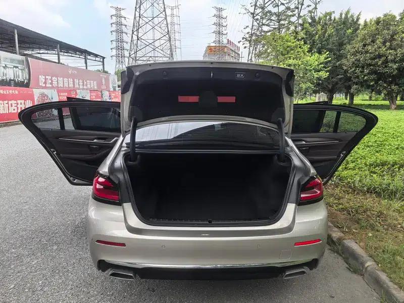 BMW 5 Series 2021 Facelift 530Li Luxury Package — миниатюра 14