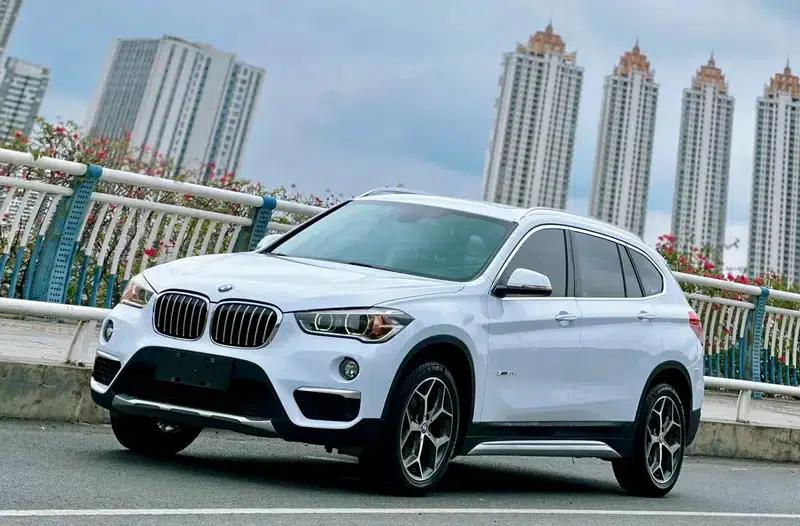 BMW X1 2016 sDrive20Li Luxury — миниатюра 1