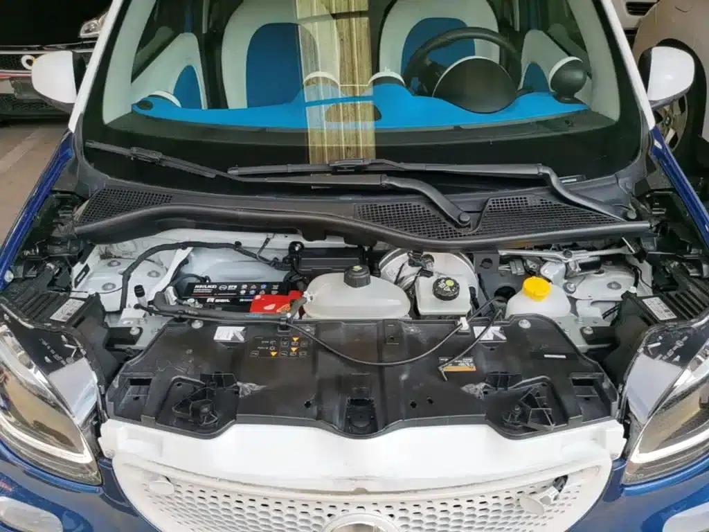 2016 Smart Forfour 0.9T 66kW Ultimate Edition — миниатюра 20