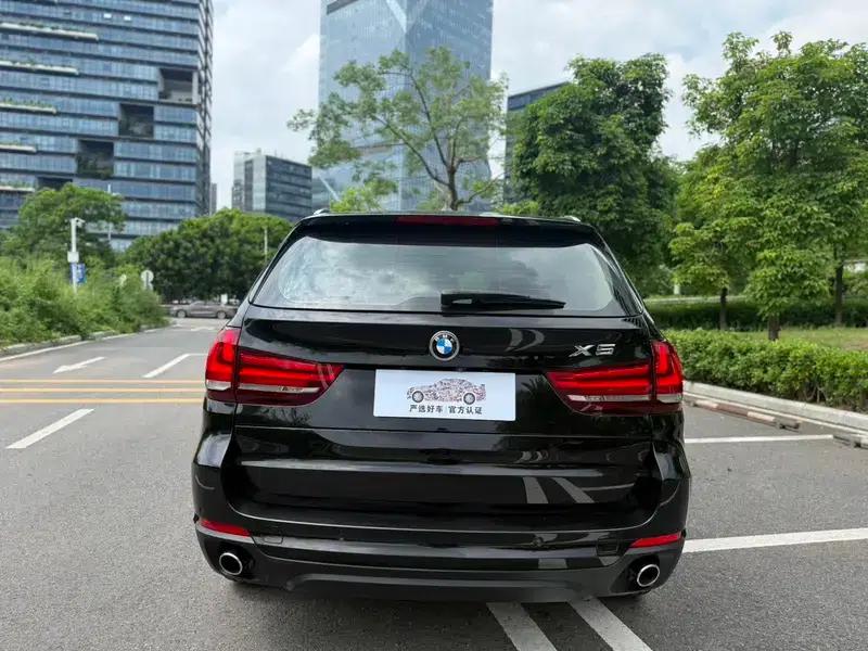 BMW X5 (Imported) 2018 Model 3.0T Parallel Import — миниатюра 5