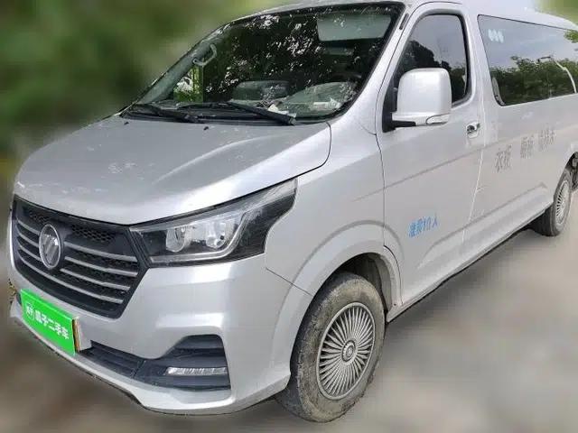 Foton Scenic G5 2021 2.0L Gasoline Commercial Version 10-Seater Multi-Purpose Passenger Vehicle 1TZS