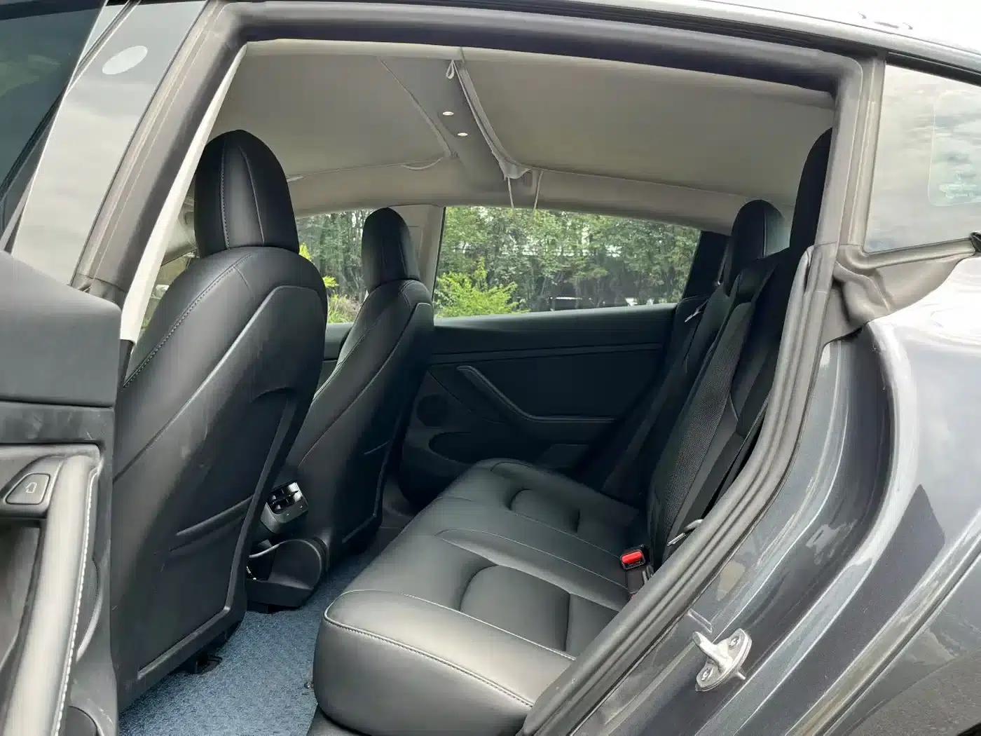 Model 3 2021 Facelift Standard Range Rear-Wheel Drive Upgrade Version 3D1 — миниатюра 7