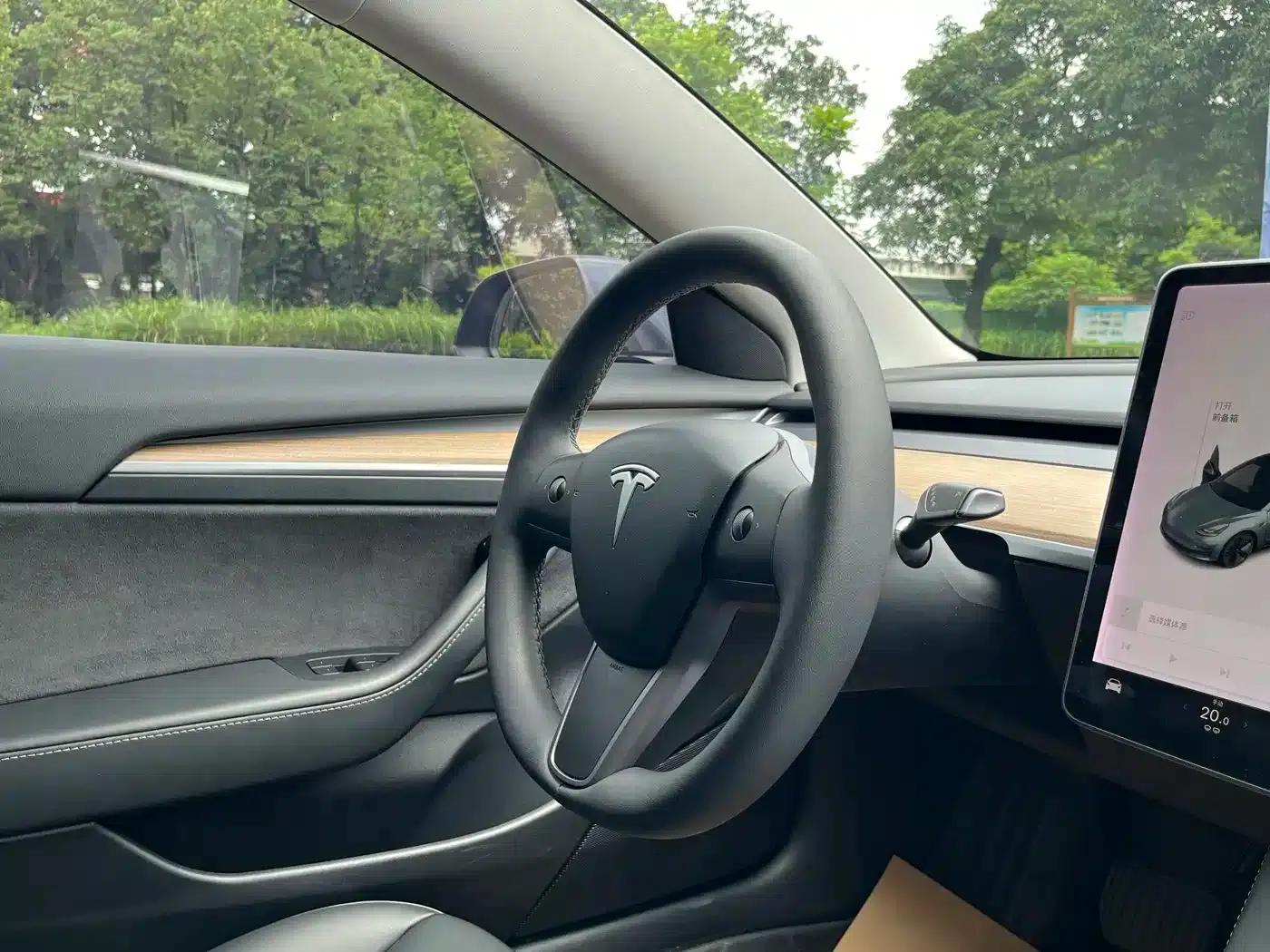 Model 3 2021 Facelift Standard Range Rear-Wheel Drive Upgrade Version 3D1 — миниатюра 9